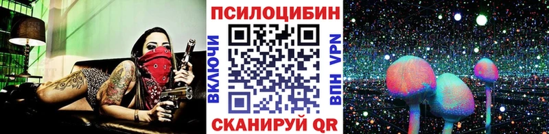 купить   Усть-Кут  KRAKEN онион  Псилоцибиновые грибы ЛСД 